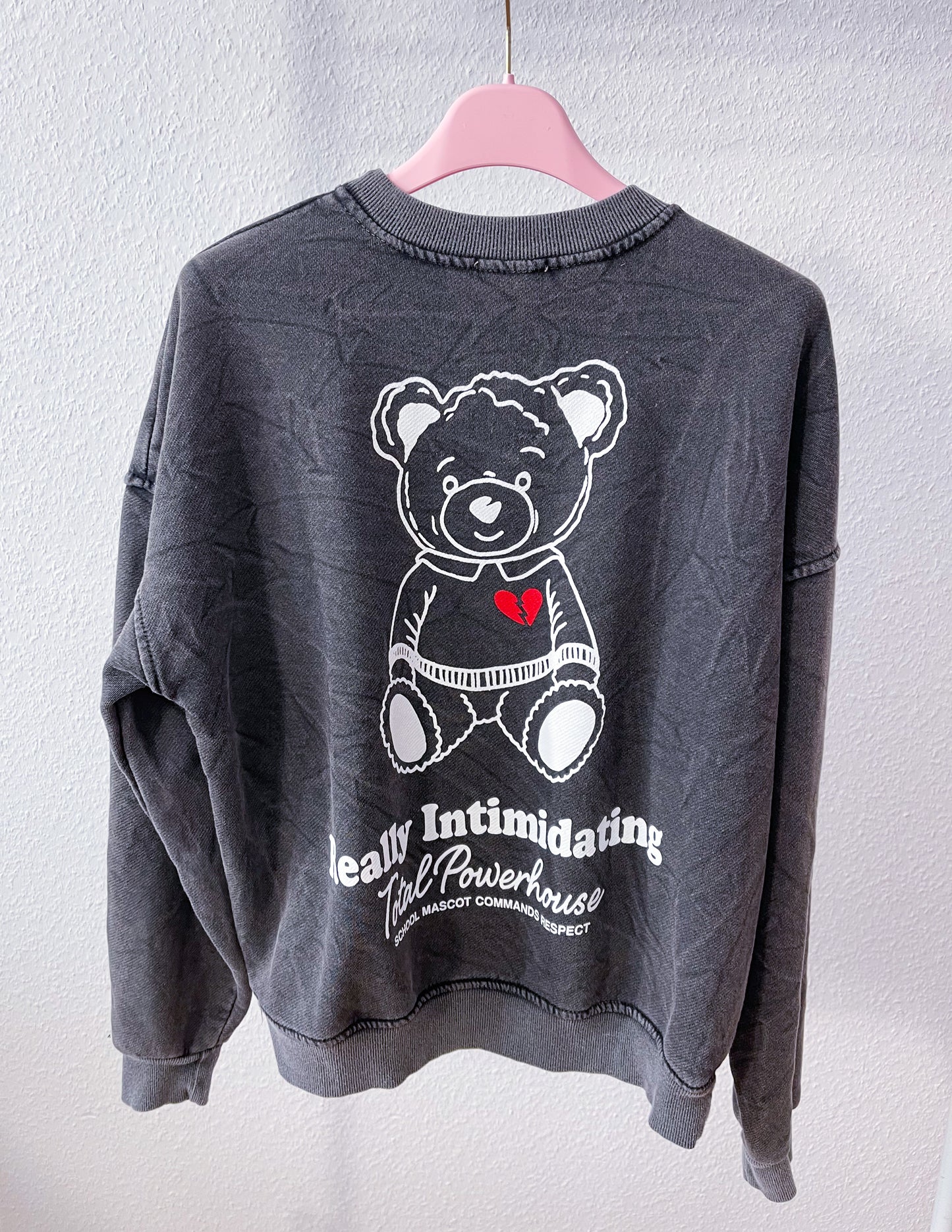 Sweatshirt Teddy 4 Farben
