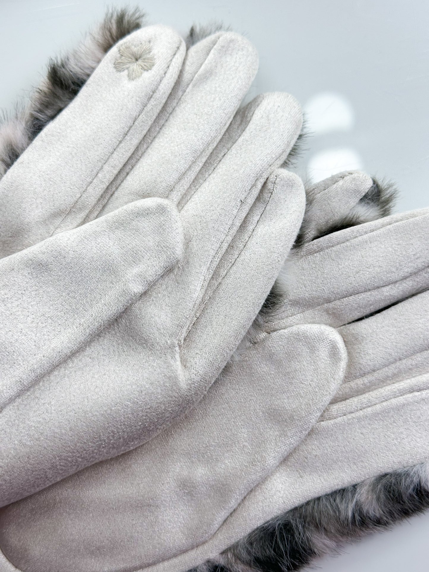 Handschuhe Leo Wildleder mit Touchscreen in 4 Farben