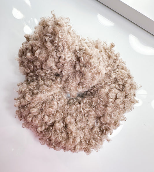 Haargummi Donat Teddy 3 Farben