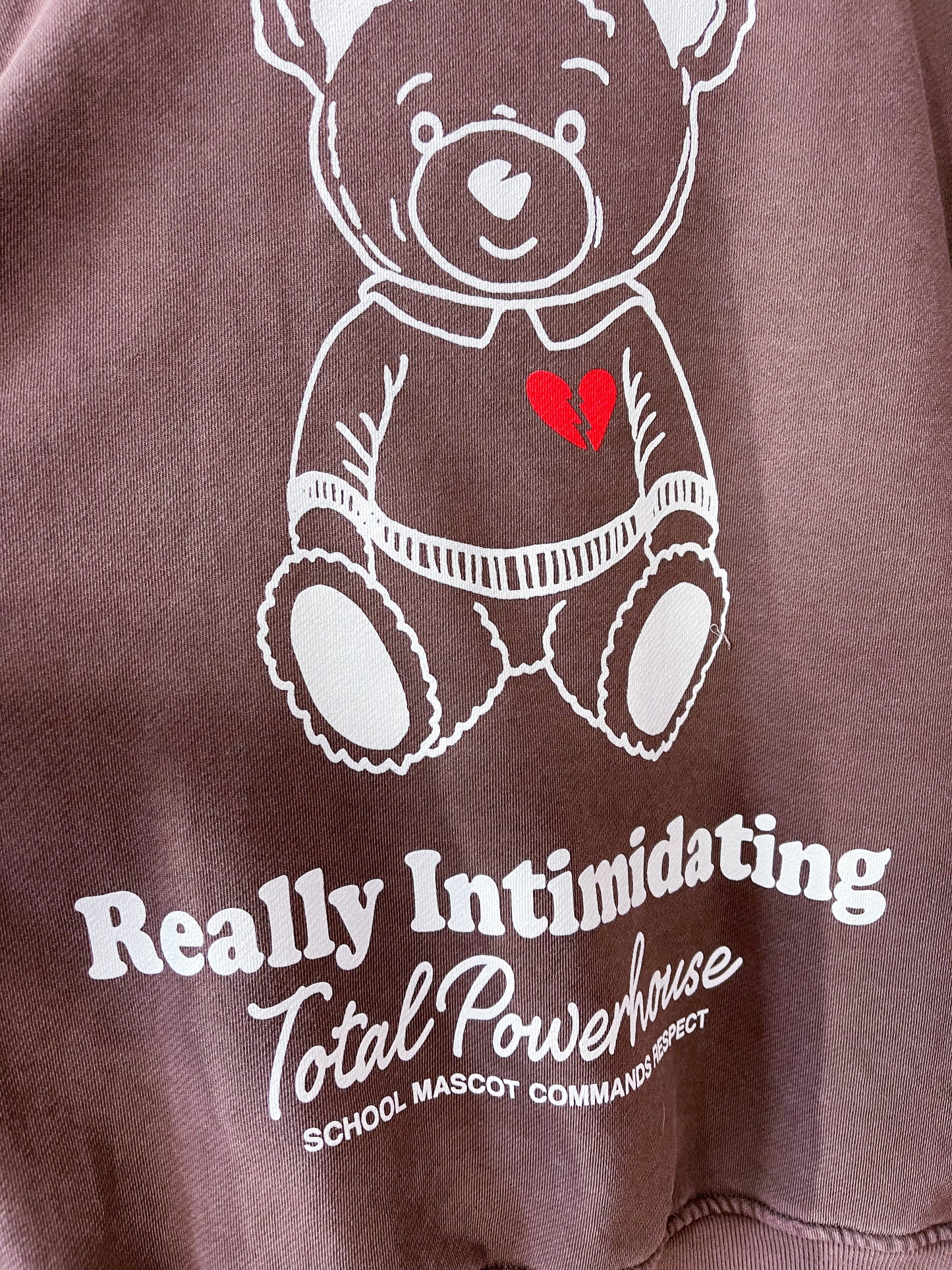 Sweatshirt Teddy 4 Farben