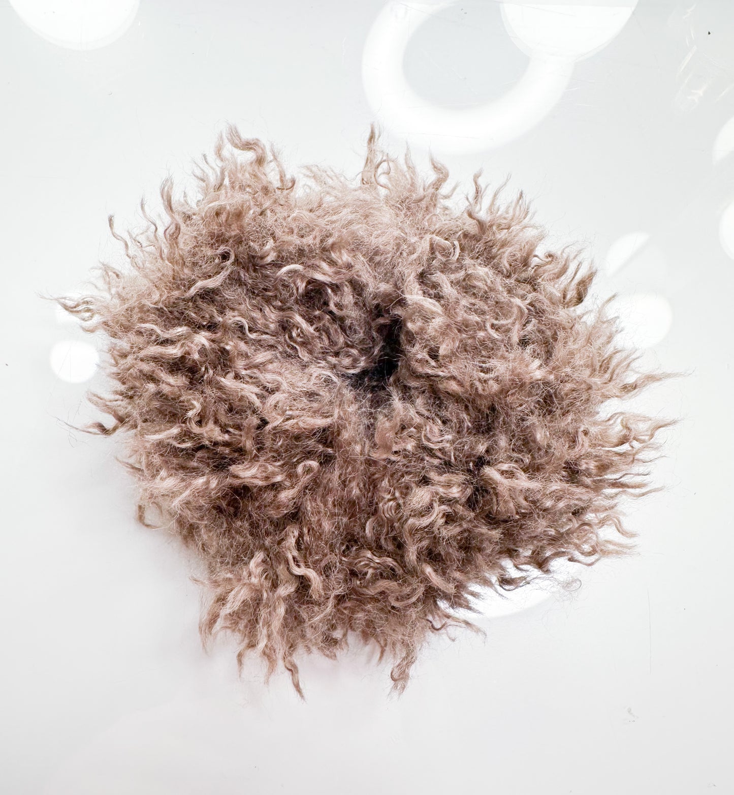 Haargummi Wolli 4 Farben