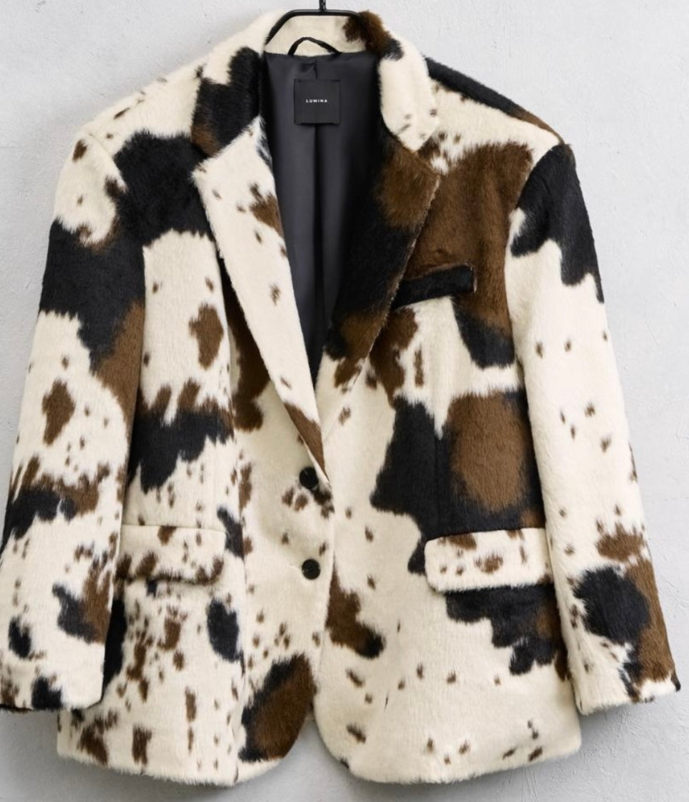 Blazer Kuh
